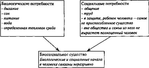 Что делает человека человеком обществознание 8 класс презентация