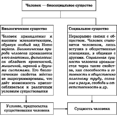 План человек как результат биологической и социокультурной эволюции егэ общество