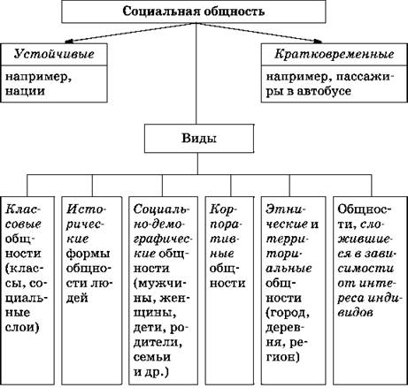 Социальная общность формы. Виды социальных общностей таблица. Виды социальной общности схема. Таблицы социальные группы и социальные общности. Основные виды социальных общностей схема.