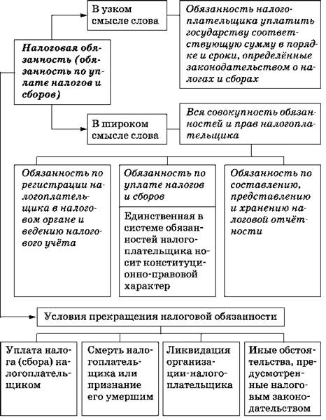 План права и обязанности налогоплательщика егэ обществознание