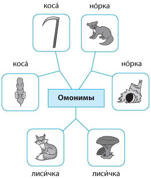 Омонимы проект 4 класс