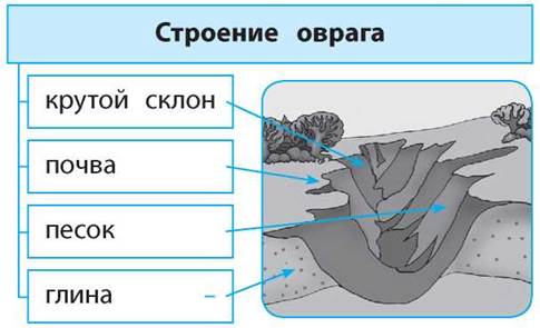 Из лесного оврага на дне которого бежал маленький родничок неслось воркованье диких голубей схема