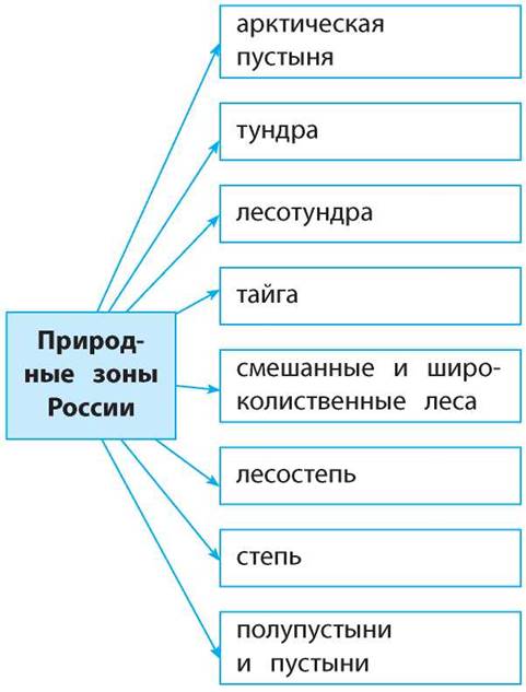 План изучения природной зоны